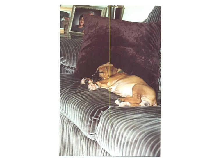 sleeping