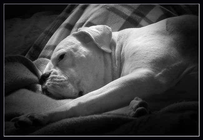 Sleeping