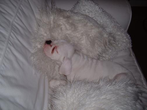 sleeping