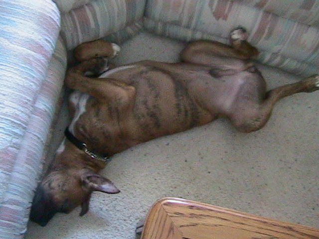 sleeping