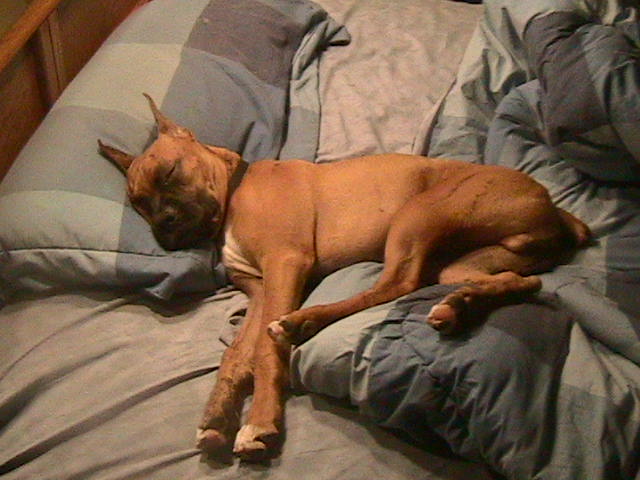sleeping