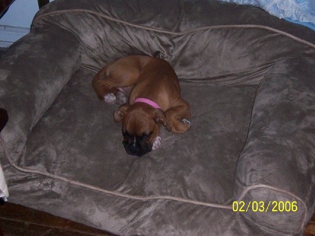 sleeping