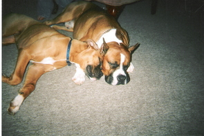 Sleeping