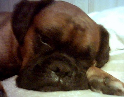 sleeping