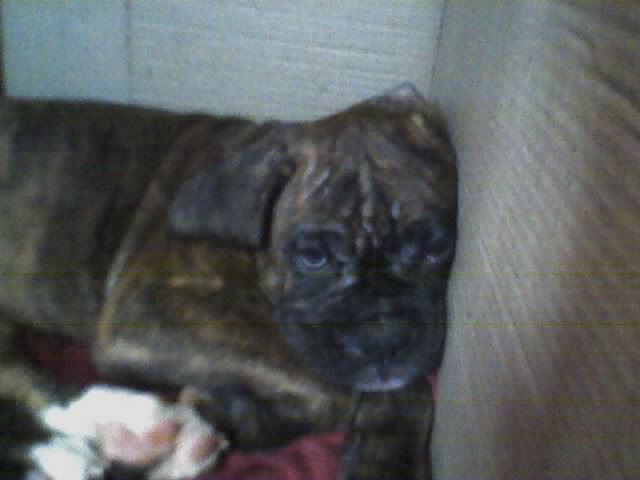 Sleeping