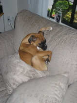 Sleeping