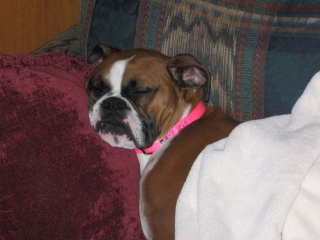 Sleeping