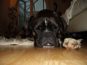 Sleeping