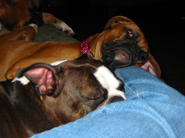 Sleeping