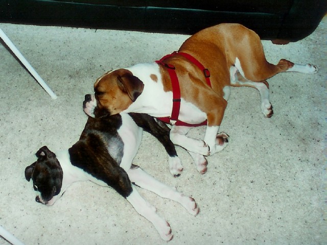Sleeping