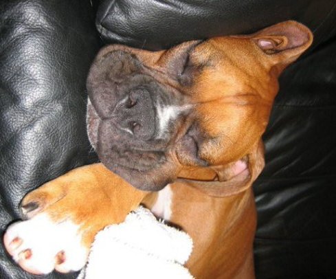 Sleeping