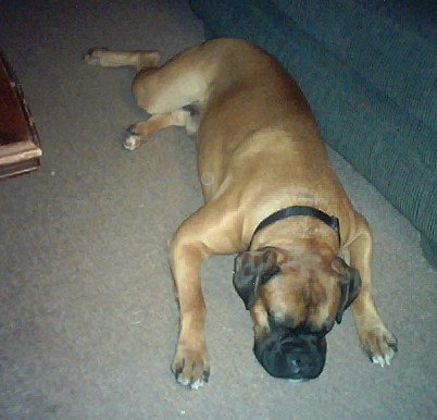 Sleeping
