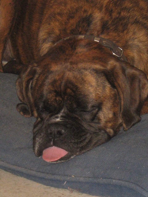 Sleeping