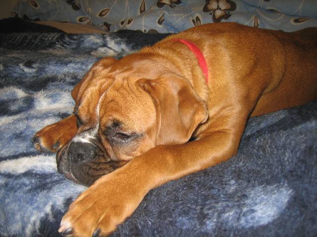 sleeping