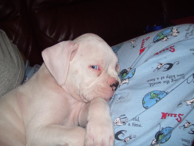 sleeping