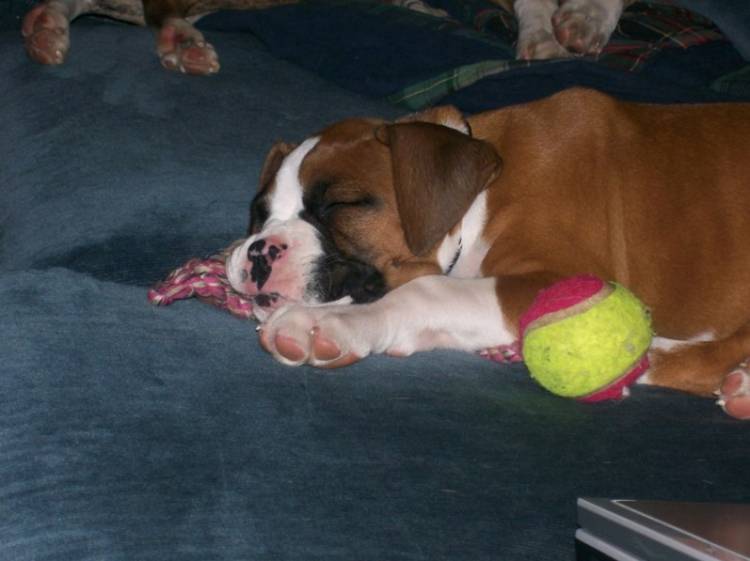 Sleeping!!