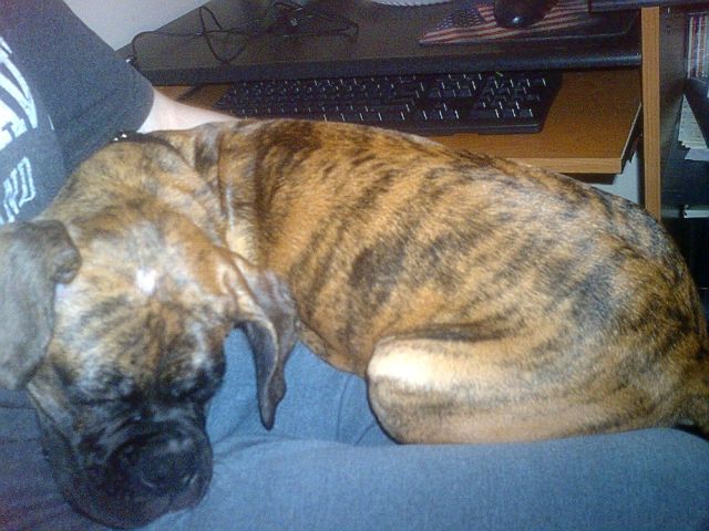 Sleeping.