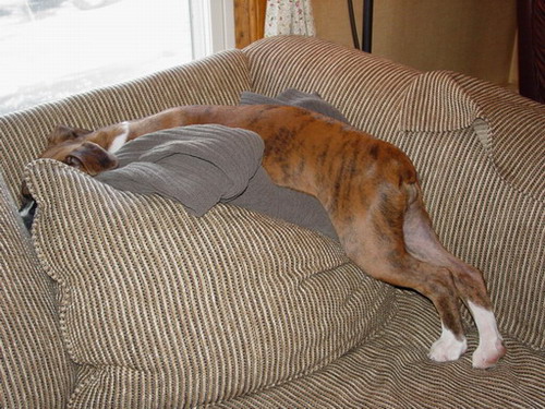 Sleeping