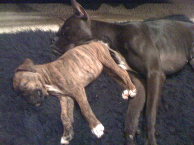 sleeping