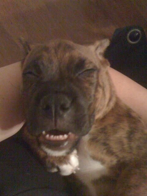 sleeping