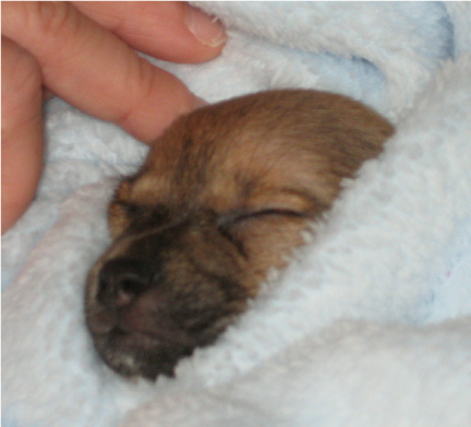 Sleeping