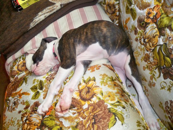 sleeping