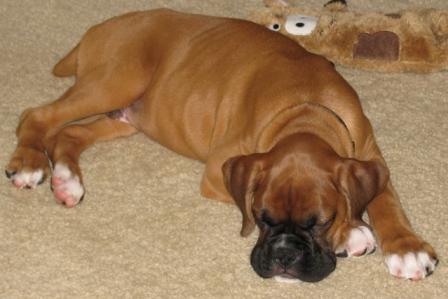 Sleeping