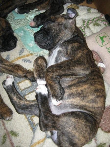 sleeping10