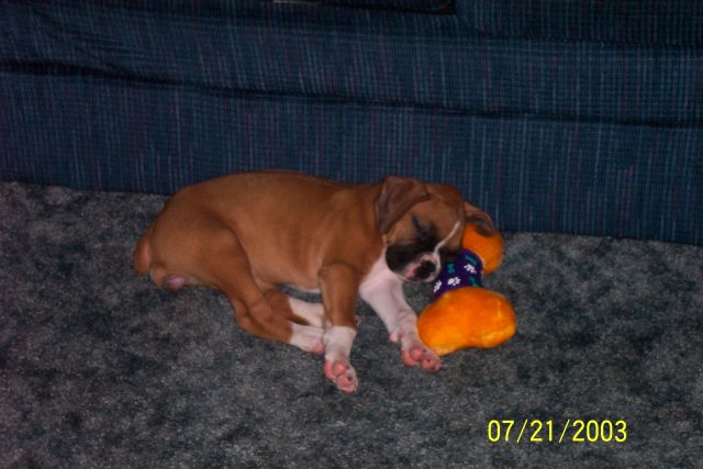 sleeping2