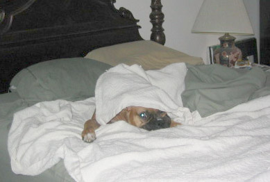 sleeping2