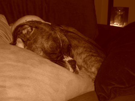 sleeping2