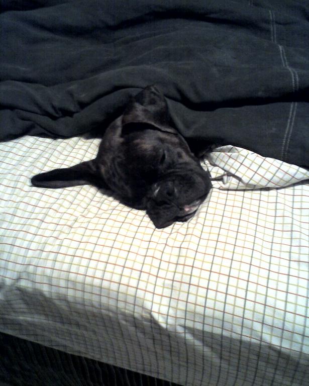 sleeping31