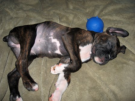 sleeping8