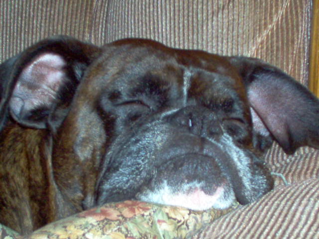 sleeping_beauty