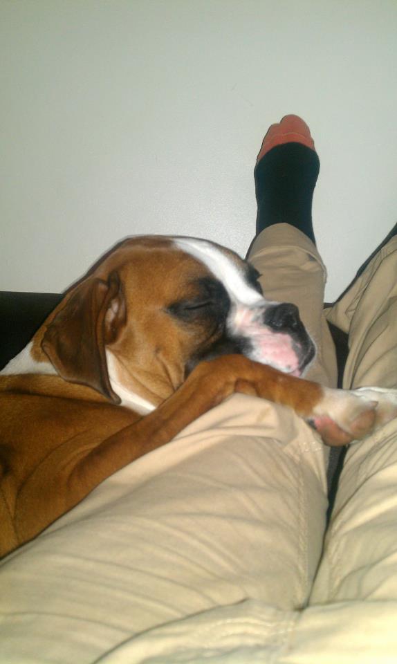 sleeping_beauty4