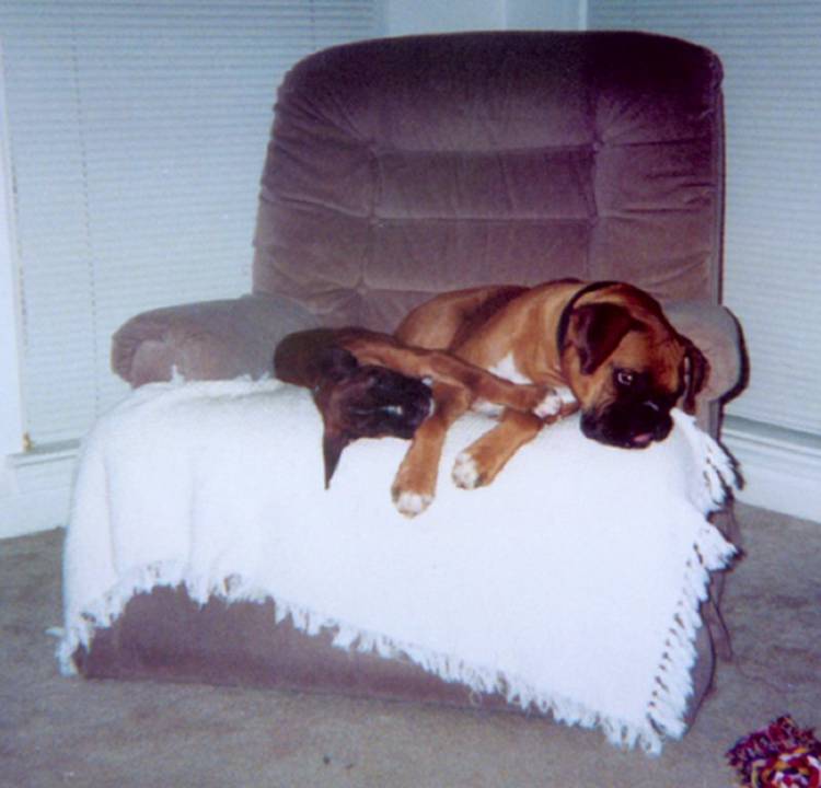 sleeping_in_chair