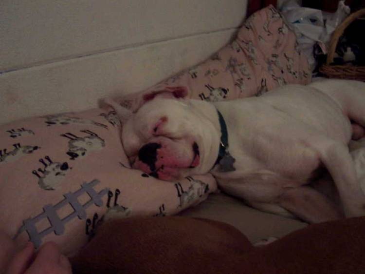 Sleepy Albert!