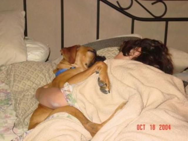 Sleepy Babies
