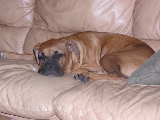 Sleepy baby
