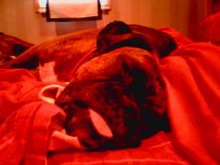 Sleepy baby