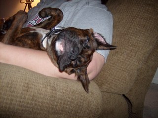 sleepy baby