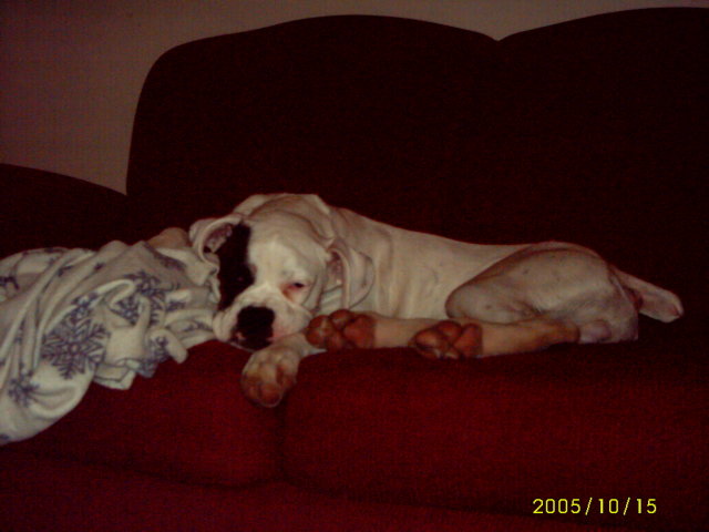 Sleepy boy