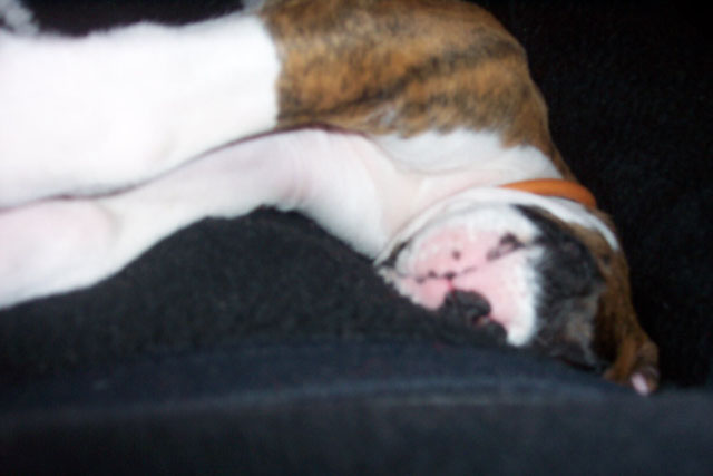 Sleepy boy