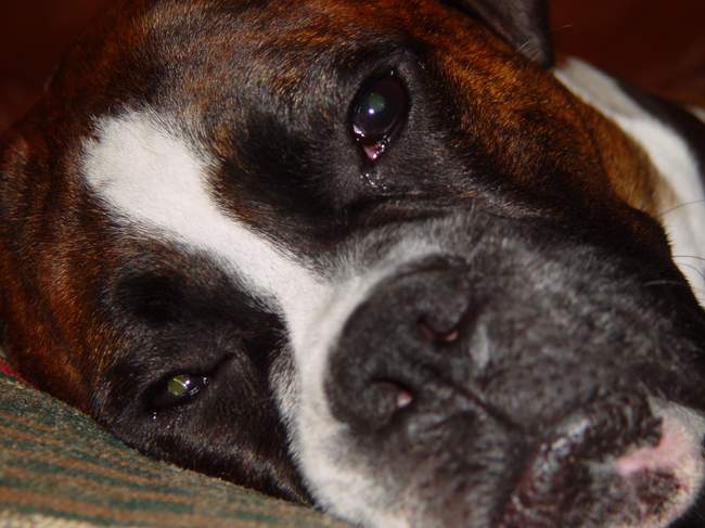 Sleepy Dempsey...