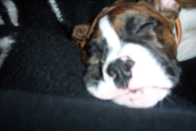 Sleepy Dempsey