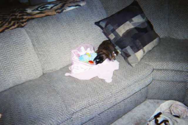 Sleepy girl