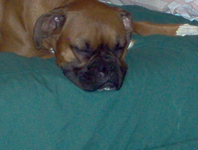 Sleepy Girl