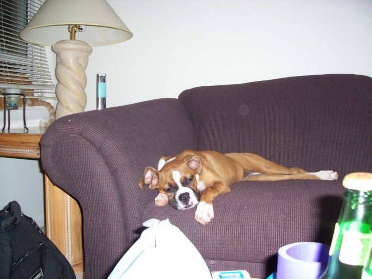 Sleepy girl...