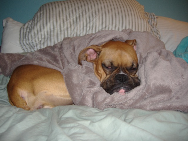 Sleepy girl