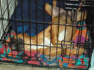Sleepy girl